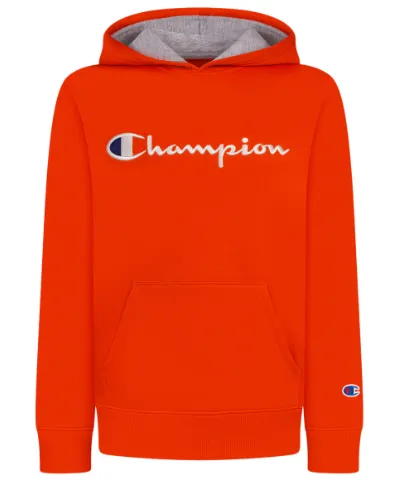 Embroidered Script Hoodie