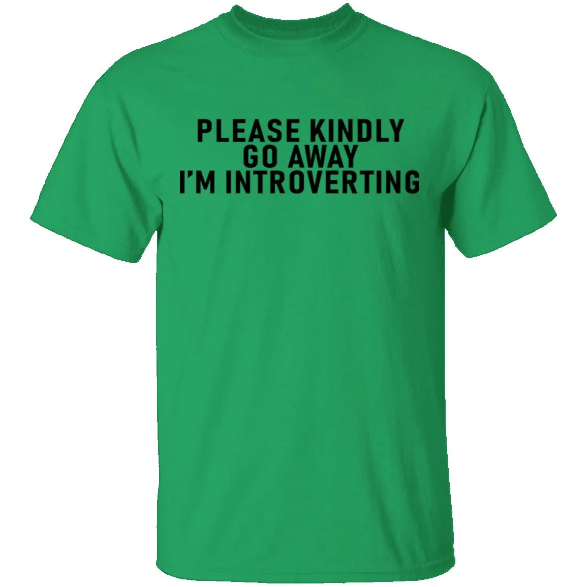 Please Kindly Go Away I'm Introverting T-Shirt