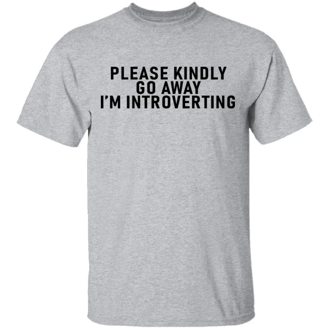 Please Kindly Go Away I'm Introverting T-Shirt