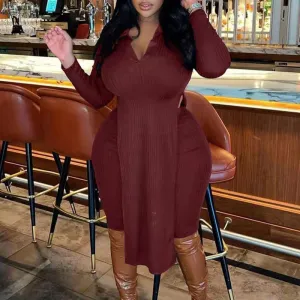 Solid V-Neck Long Sleeve Slit Top & Pants Set