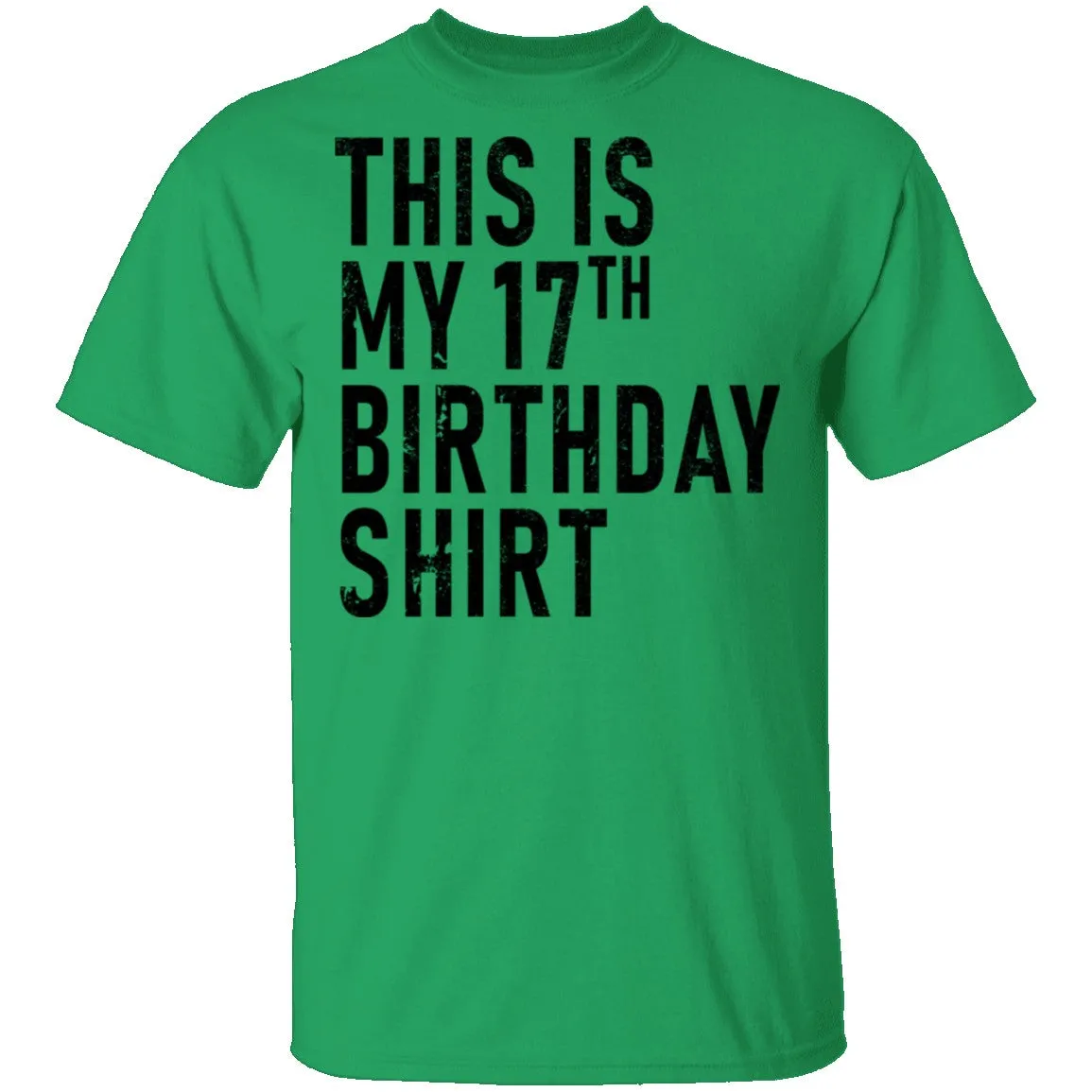 This Is My 17th Birthday Shirt T-Shirt