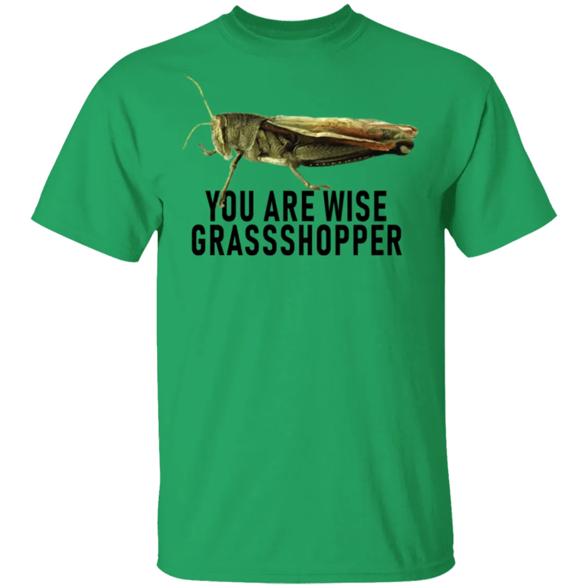 You Are Wise Grassshopper T-Shirt