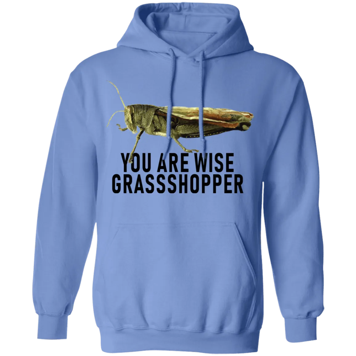 You Are Wise Grassshopper T-Shirt