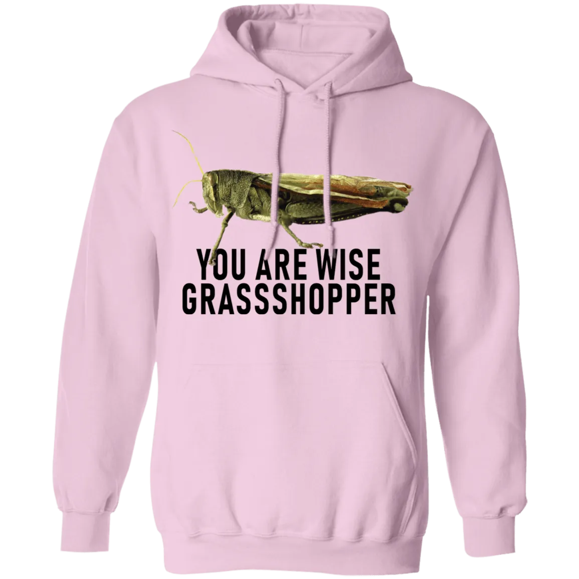 You Are Wise Grassshopper T-Shirt