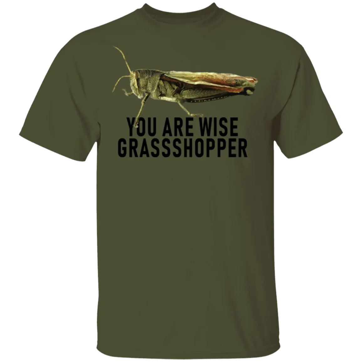 You Are Wise Grassshopper T-Shirt