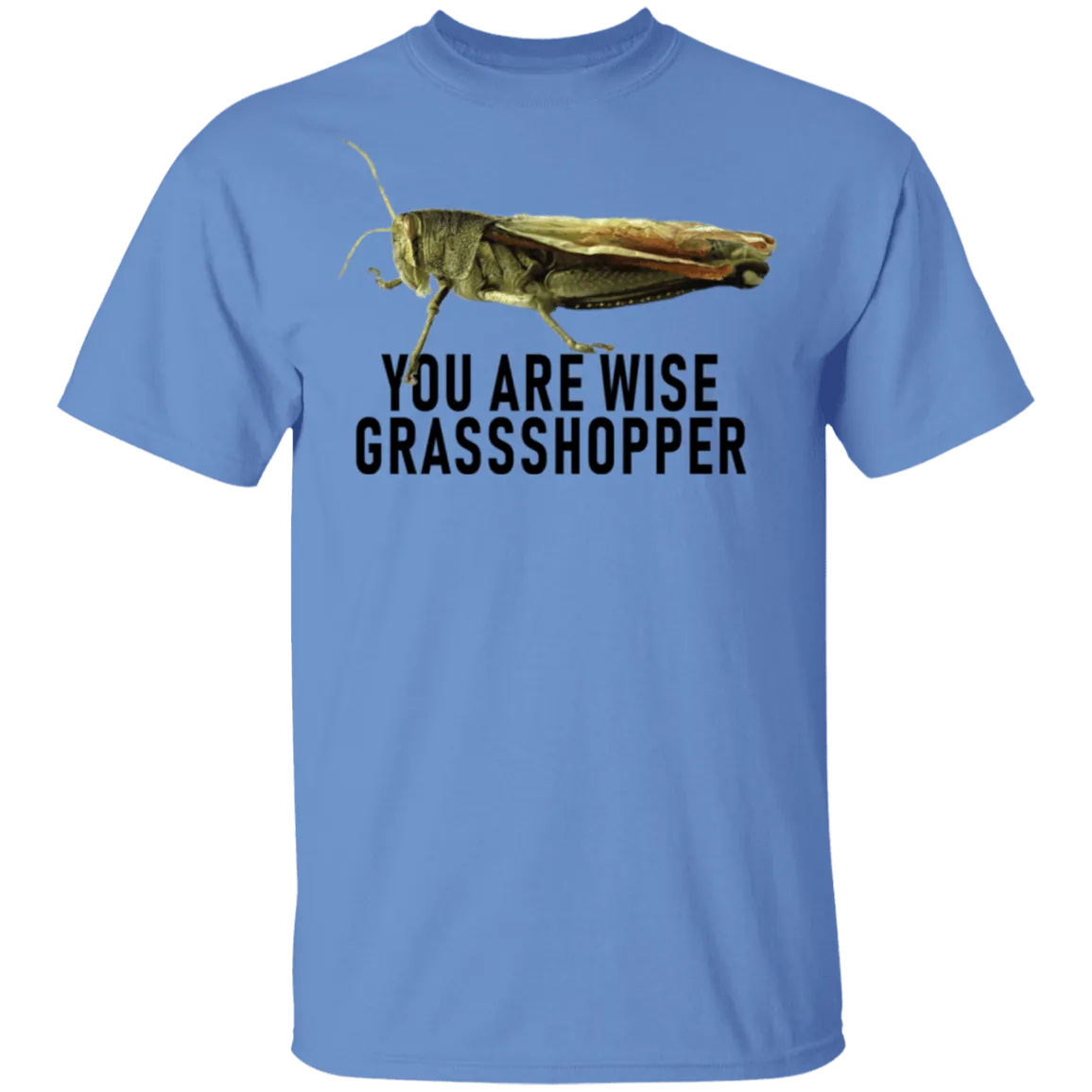 You Are Wise Grassshopper T-Shirt