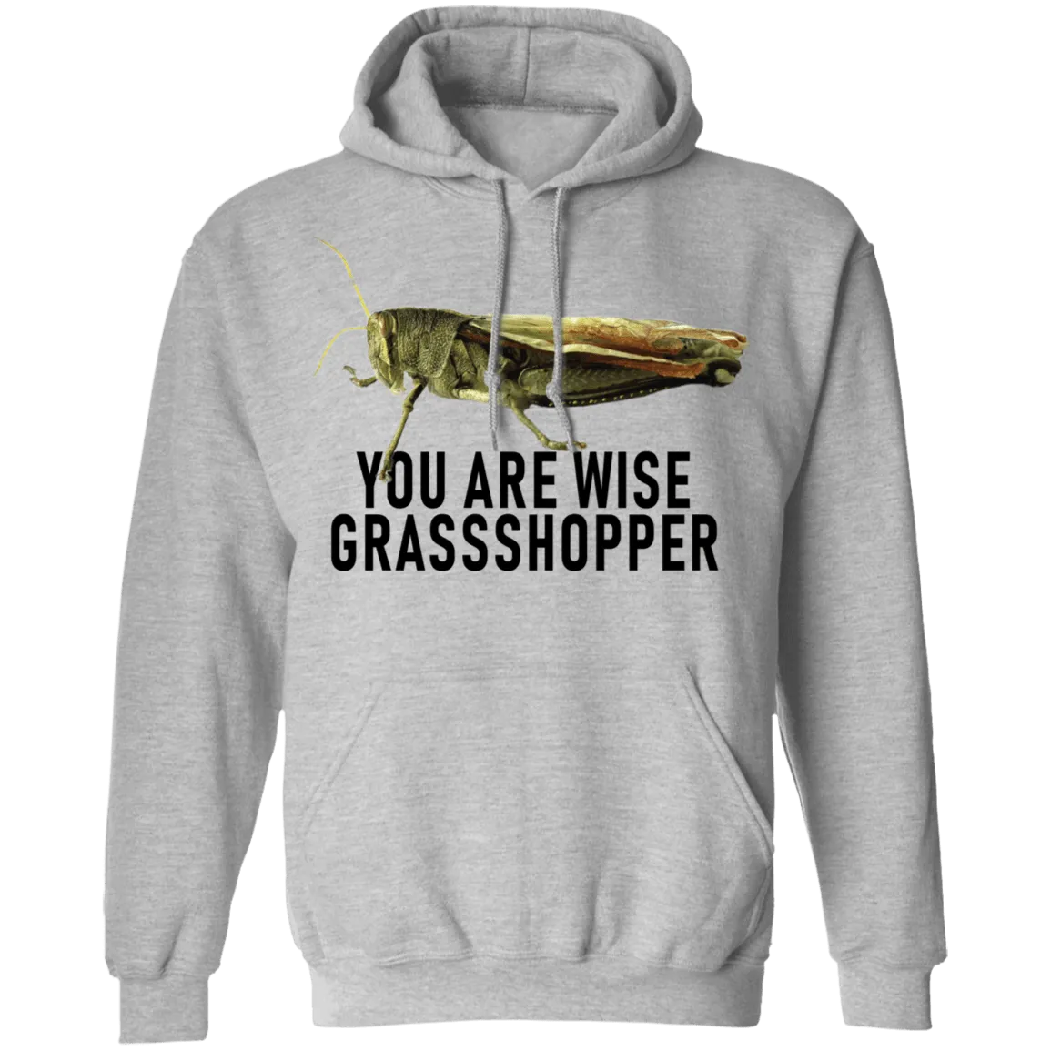 You Are Wise Grassshopper T-Shirt