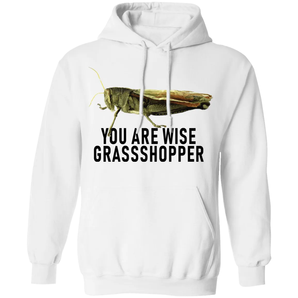 You Are Wise Grassshopper T-Shirt