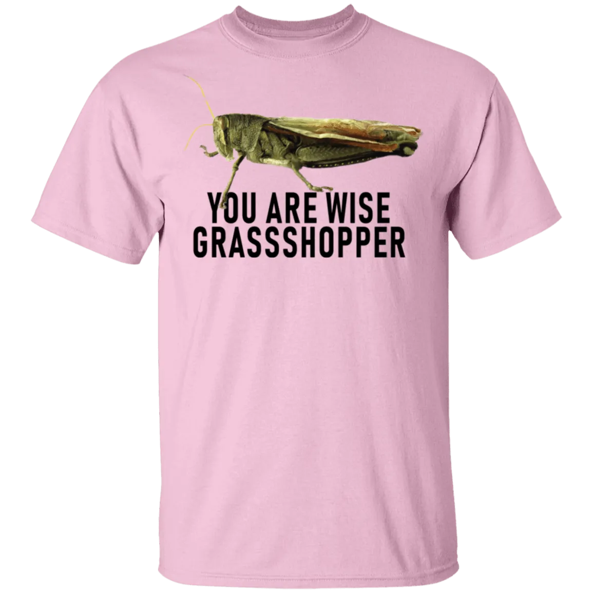 You Are Wise Grassshopper T-Shirt