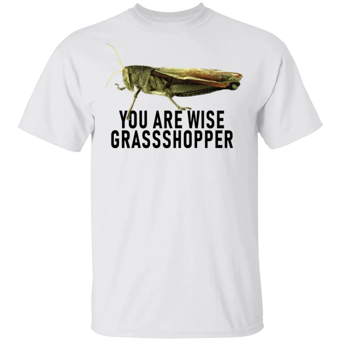 You Are Wise Grassshopper T-Shirt