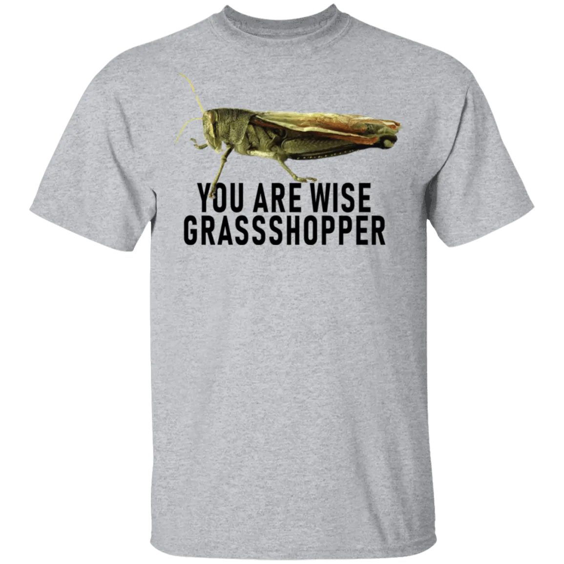 You Are Wise Grassshopper T-Shirt